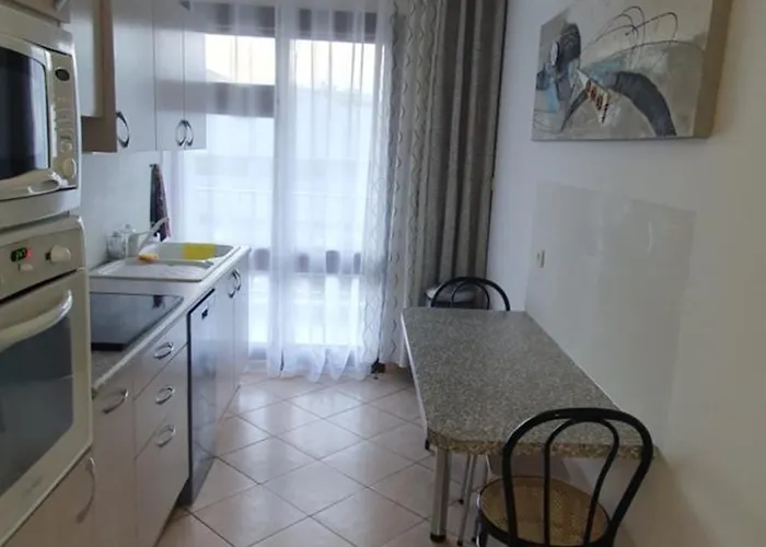 Spacieux 2 Pieces Terrasse Et Piscine * Cannes