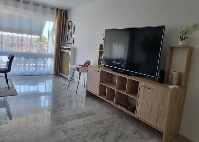 Daire Spacieux 2 Pieces Terrasse Et Piscine Cannes